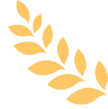 im电竞