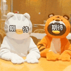 im电竞