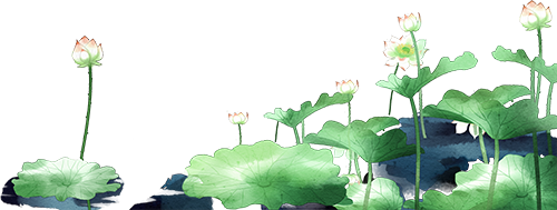 im电竞