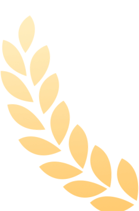 im电竞