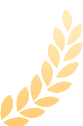 im电竞