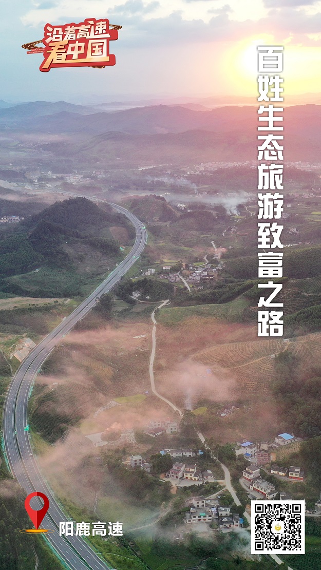 im电竞