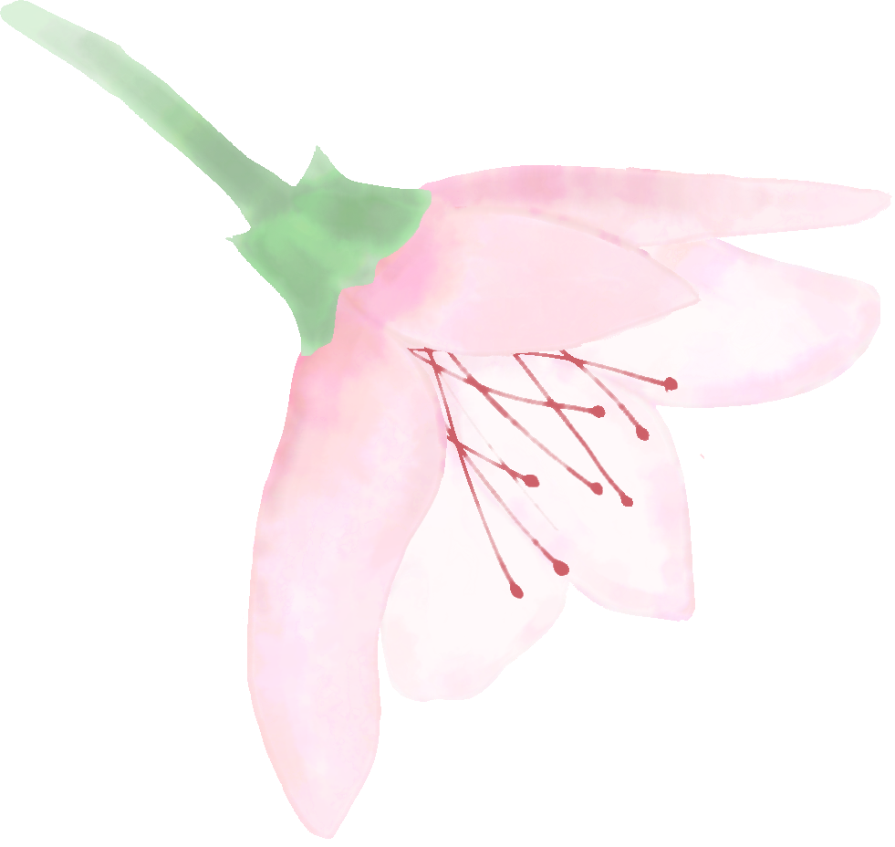 im电竞