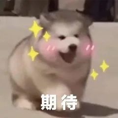 im电竞