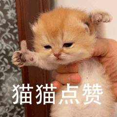 im电竞
