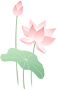 im电竞