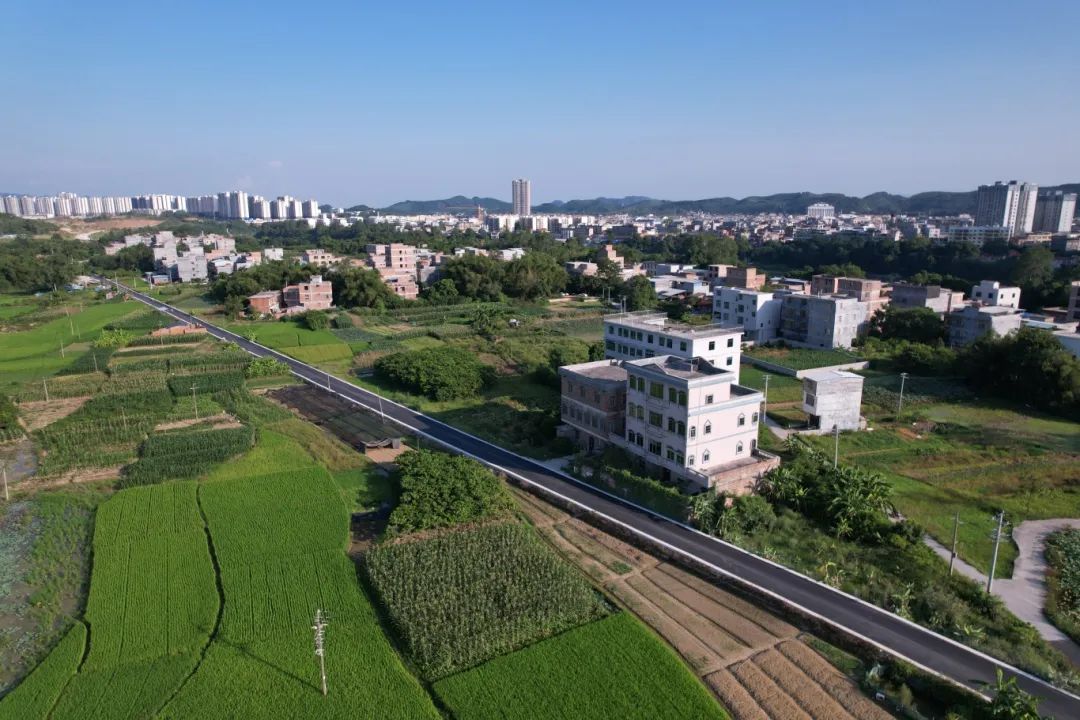 im电竞