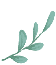 im电竞